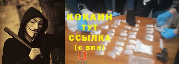 сатива Баксан