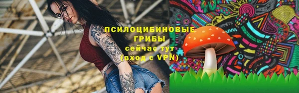 сатива Баксан