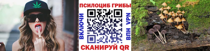 Псилоцибиновые грибы Psilocybe  Галич 
