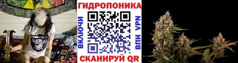Бошки Шишки Bruce Banner  Галич 